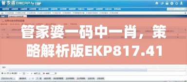 管家婆一碼中一肖，策略解析版EKP817.41測試版