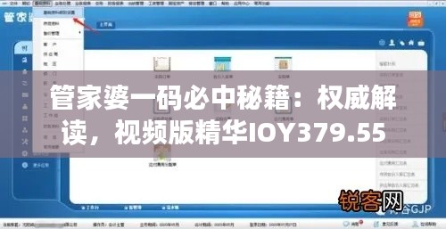 管家婆一碼必中秘籍：權(quán)威解讀，視頻版精華IOY379.55