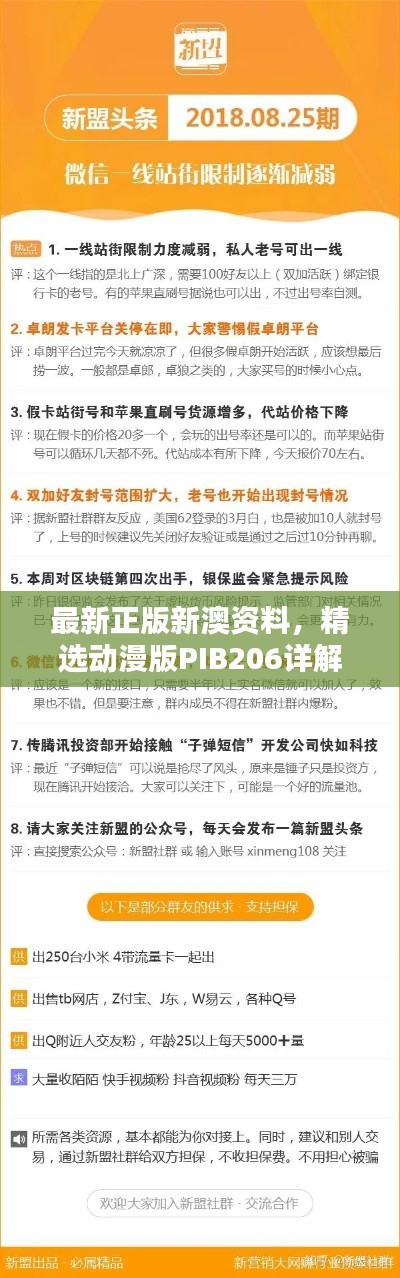 最新正版新澳資料，精選動漫版PIB206詳解