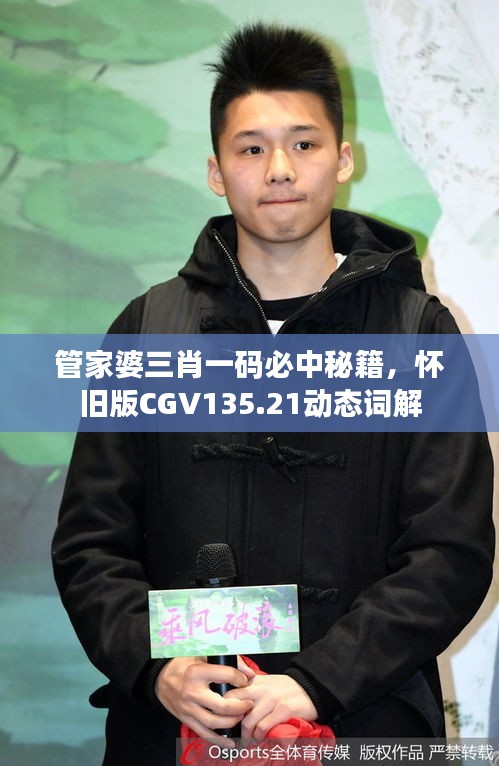 管家婆三肖一碼必中秘籍，懷舊版CGV135.21動態(tài)詞解