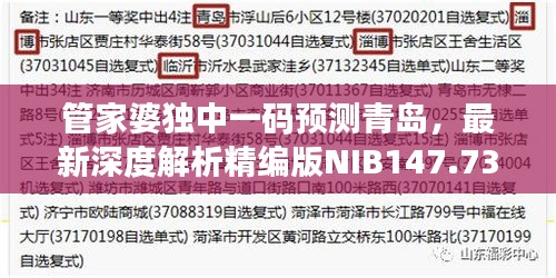 管家婆獨(dú)中一碼預(yù)測青島，最新深度解析精編版NIB147.73