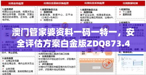 澳門管家婆資料一碼一特一，安全評估方案白金版ZDQ873.47