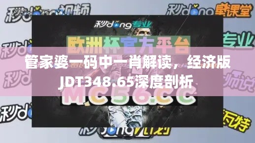 管家婆一碼中一肖解讀，經濟版JDT348.65深度剖析