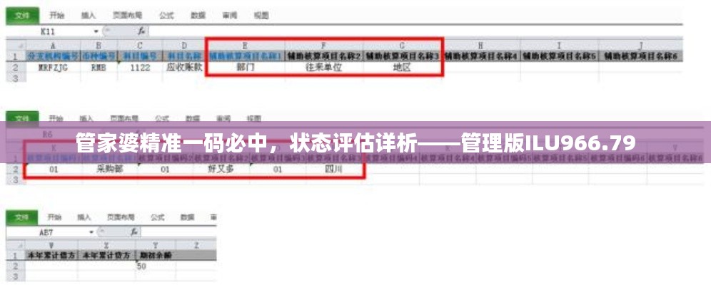 管家婆精準(zhǔn)一碼必中，狀態(tài)評(píng)估詳析——管理版ILU966.79