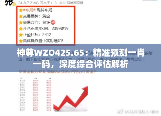 神尊WZO425.65：精準(zhǔn)預(yù)測一肖一碼，深度綜合評估解析