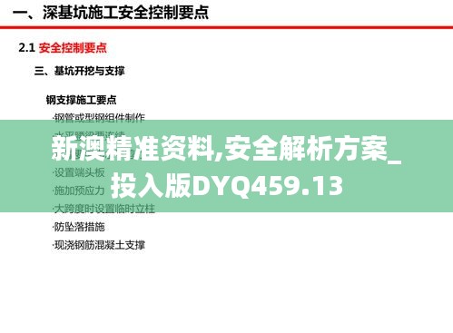 新澳精準資料,安全解析方案_投入版DYQ459.13