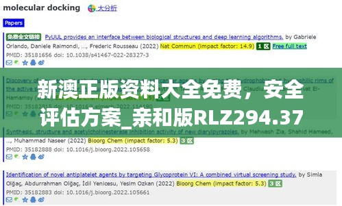 新澳正版資料大全免費，安全評估方案_親和版RLZ294.37