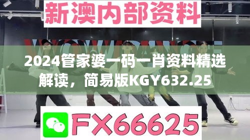 2024管家婆一碼一肖資料精選解讀，簡易版KGY632.25