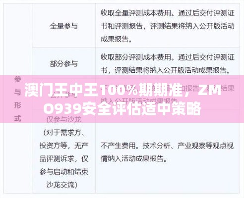 澳門王中王100%期期準，ZMO939安全評估適中策略