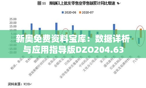 新奧免費資料寶庫：數據詳析與應用指導版DZO204.63