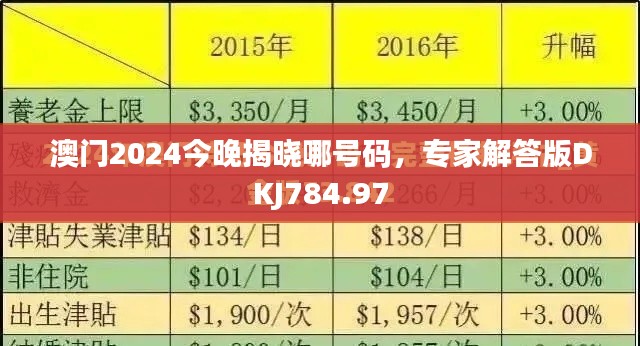 澳門2024今晚揭曉哪號碼，專家解答版DKJ784.97