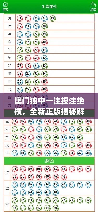 澳門獨中一注投注絕技，全新正版揭秘解析_GBL206.5通用版