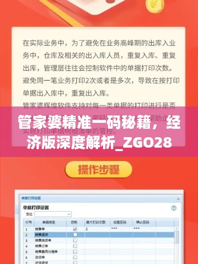 管家婆精準一碼秘籍，經(jīng)濟版深度解析_ZGO289.56