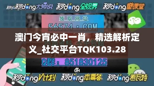 澳門(mén)今宵必中一肖，精選解析定義_社交平臺(tái)TQK103.28