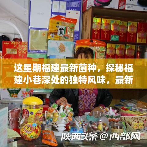 福建小巷深處的獨特風(fēng)味，最新菌種小店之旅探秘記