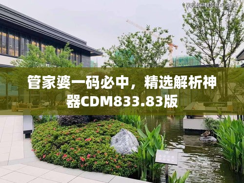 管家婆一碼必中，精選解析神器CDM833.83版