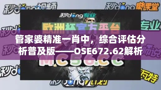 管家婆精準(zhǔn)一肖中，綜合評(píng)估分析普及版——OSE672.62解析