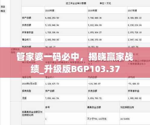 管家婆一碼必中，揭曉贏家戰(zhàn)績_升級版BGP103.37