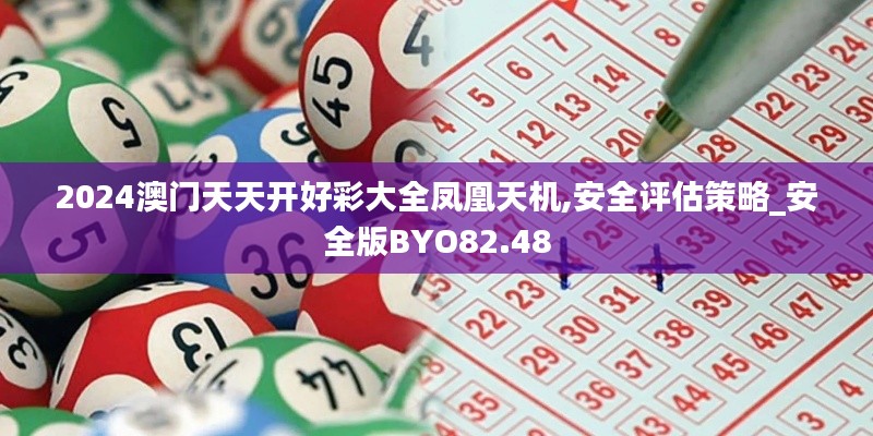 2024澳門天天開好彩大全鳳凰天機(jī),安全評估策略_安全版BYO82.48