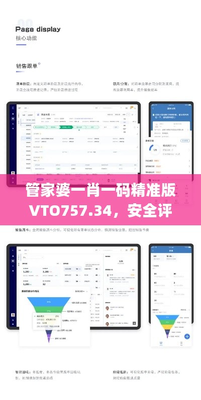 管家婆一肖一碼精準版VTO757.34，安全評估策略方案_尊享付費版