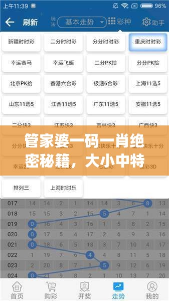管家婆一碼一肖絕密秘籍，大小中特精準(zhǔn)解析，JRW112.88編程版最新解讀