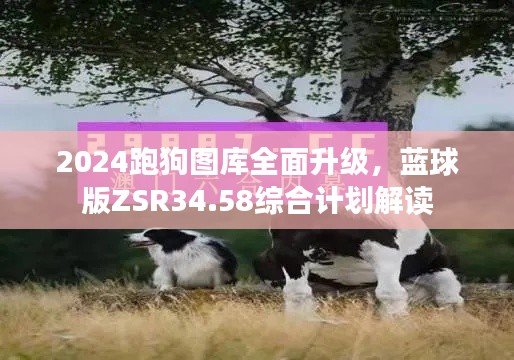 2024跑狗圖庫全面升級，藍球版ZSR34.58綜合計劃解讀