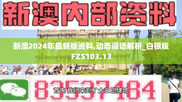 新澳2024年最新版資料,動態(tài)詞語解析_白銀版FZS103.13