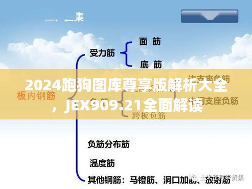 2024跑狗圖庫(kù)尊享版解析大全，JEX909.21全面解讀