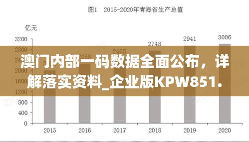 澳門內(nèi)部一碼數(shù)據(jù)全面公布，詳解落實(shí)資料_企業(yè)版KPW851.07