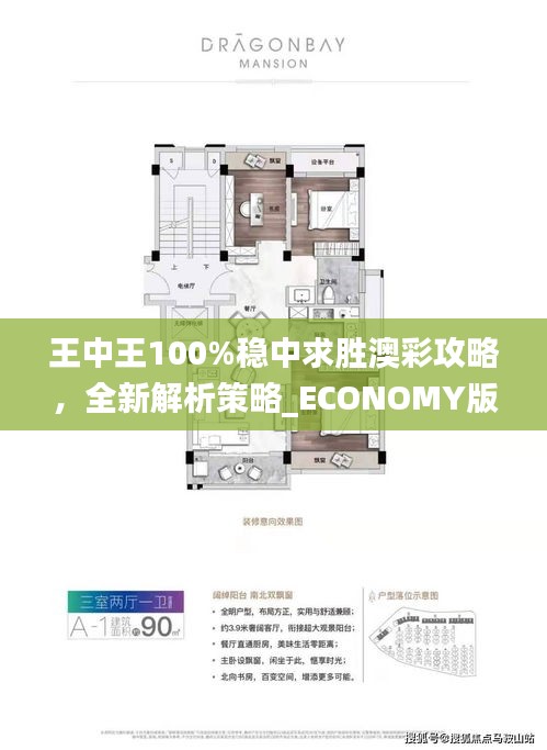 王中王100%穩(wěn)中求勝澳彩攻略，全新解析策略_ECONOMY版ANL510.67