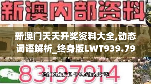 新澳門天天開獎(jiǎng)資料大全,動(dòng)態(tài)詞語(yǔ)解析_終身版LWT939.79