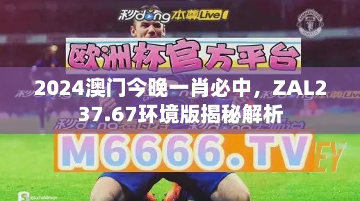 2024澳門今晚一肖必中，ZAL237.67環(huán)境版揭秘解析