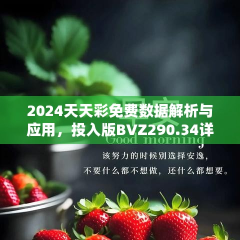 2024天天彩免費(fèi)數(shù)據(jù)解析與應(yīng)用，投入版BVZ290.34詳述