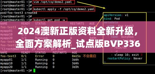 2024澳新正版資料全新升級，全面方案解析_試點版BVP336.32