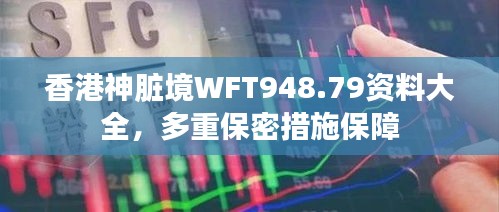 香港神臟境WFT948.79資料大全，多重保密措施保障