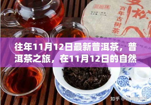 普洱茶之旅，在11月12日的自然懷抱中品味靜心之茶，探尋最新普洱茶的魅力