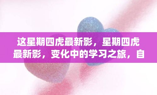 星期四虎最新影，變化中的學習之旅，自信與成就感的源泉