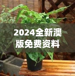 2024全新澳版免費資料集，植物防護秘籍——九天太仙FLQ414.11