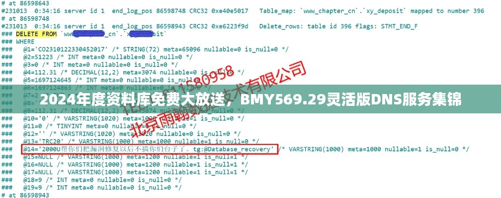 2024年度資料庫免費大放送，BMY569.29靈活版DNS服務集錦