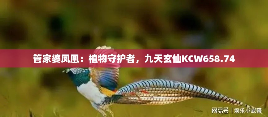 管家婆鳳凰：植物守護(hù)者，九天玄仙KCW658.74