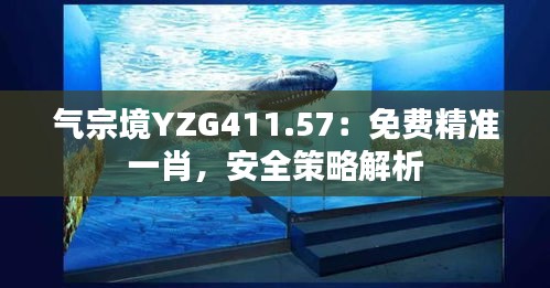 氣宗境YZG411.57：免費精準(zhǔn)一肖，安全策略解析