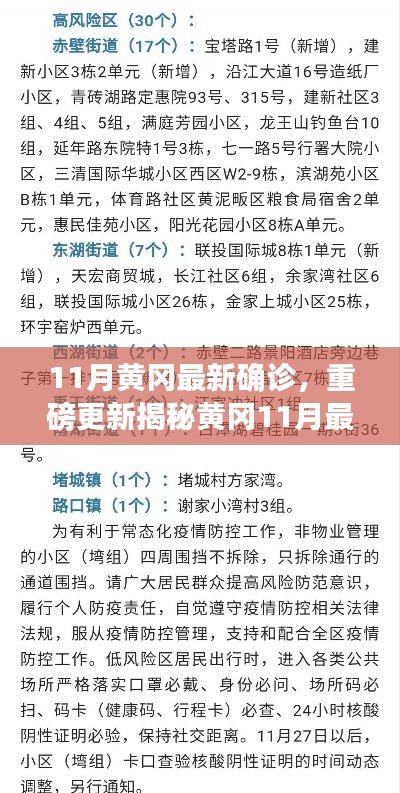 揭秘黃岡11月最新確診情況，深度解析防疫現(xiàn)狀，重要信息一覽無(wú)余