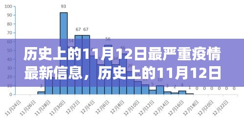 歷史上的11月12日最嚴重疫情揭秘，最新信息與發(fā)展全貌洞察（小紅書文章）