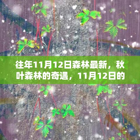 走馬觀花 第25頁