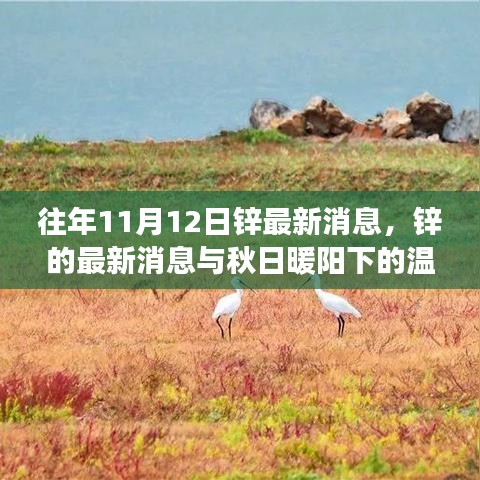 秋日暖陽(yáng)下的鋅情，最新鋅消息與溫情故事回顧