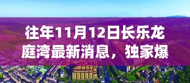 獨家揭秘，往年11月12日長樂龍庭灣最新動態(tài)與細節(jié)曝光！