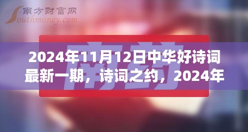 中華好詩詞最新一期，詩意時光下的詩詞之約（2024年11月12日）