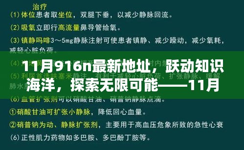 躍動知識海洋，探索無限可能，揭秘11月916n新地址魔法之旅，學(xué)習成就自信與成長