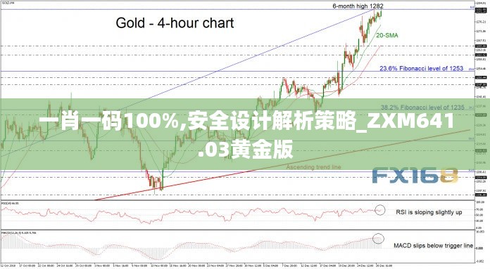 一肖一碼100%,安全設計解析策略_ZXM641.03黃金版