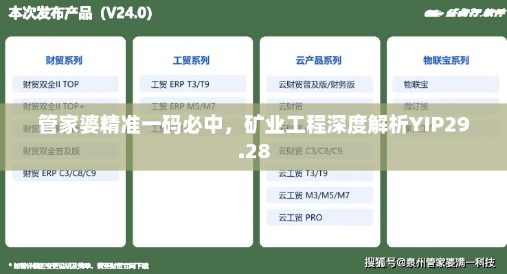 管家婆精準一碼必中，礦業(yè)工程深度解析YIP29.28